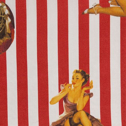 Fancy Lining - FANLIN0029