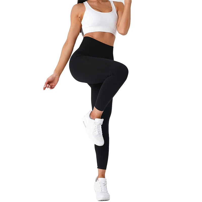 Women's Solid Seamless High Waisted Workout Tights - Collection 1 in 13 Vibrant Colors