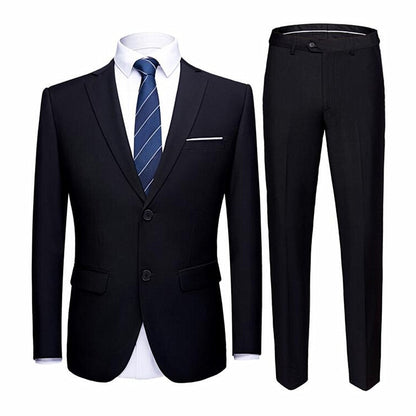 Men's 2 Button 2 pc (Jacket+Pant) Poly Viscose Business Dress Suit - Collection 1 (7 Colors)